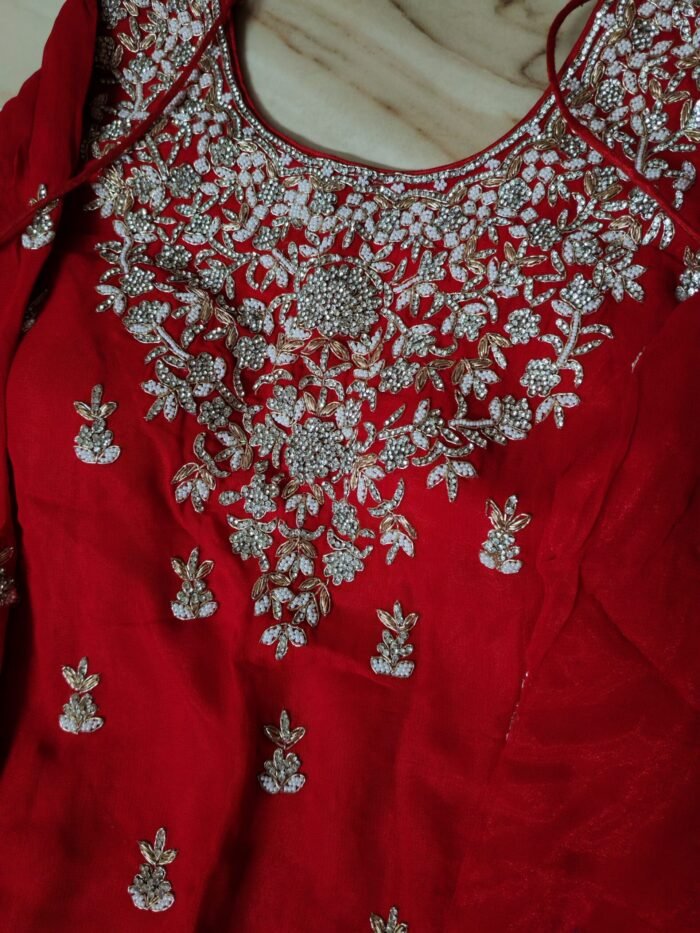 JOTEY Wedding/Party Gharara 3pc Set - Image 4