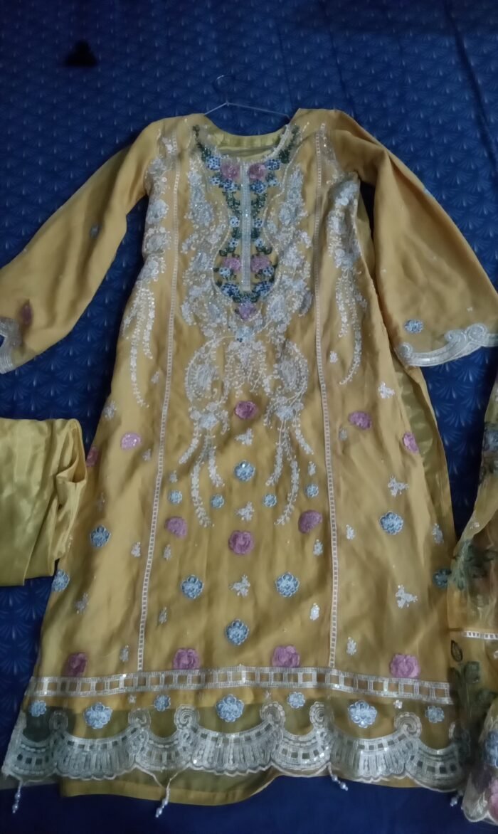 Pakistani 3-Piece with Organza Dupatta ✨ - Image 1